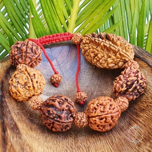 Perline Rudraksha 2 3 4 5 6 7 Mukhi (viso) Perline Mala Bracciale regolabile per uomini e donne, Bracciale Rudraksha, Bracciale Shiva