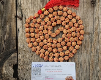 Spiritual Mala 10mm, 5 Mukhi Rudraksha Mala - Lab Certified, 5 Mukhi Rudraksha Necklace, Shiva Tears Necklace, 108 Rudraksha Mala