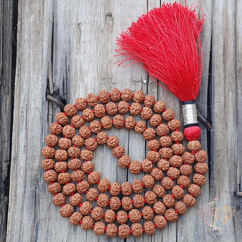 Pathri Rudraksh Pathri Rudraksha Chikna Mala 6mm | Original Certified Rudraksha ...