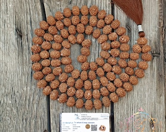 Rare Big Size Indonesian Seven Mukhi Rudraksha Mala, Natural 7 Face Rudraksha Necklace 13-14mm Beads, 108 Meditation Japa Mala