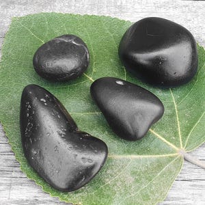 Shaligram Shila Set of 4 Stones, Gandaki River Nepal, Hindu Ritual Objects, Saligram Stones, Religious Gifts, Spiritual Decor