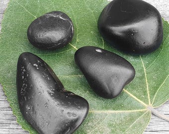 Set di 4 pietre Shaligram Shila, fiume Gandaki, Nepal, oggetti rituali indù, pietre Saligram, regali religiosi, decorazioni spirituali