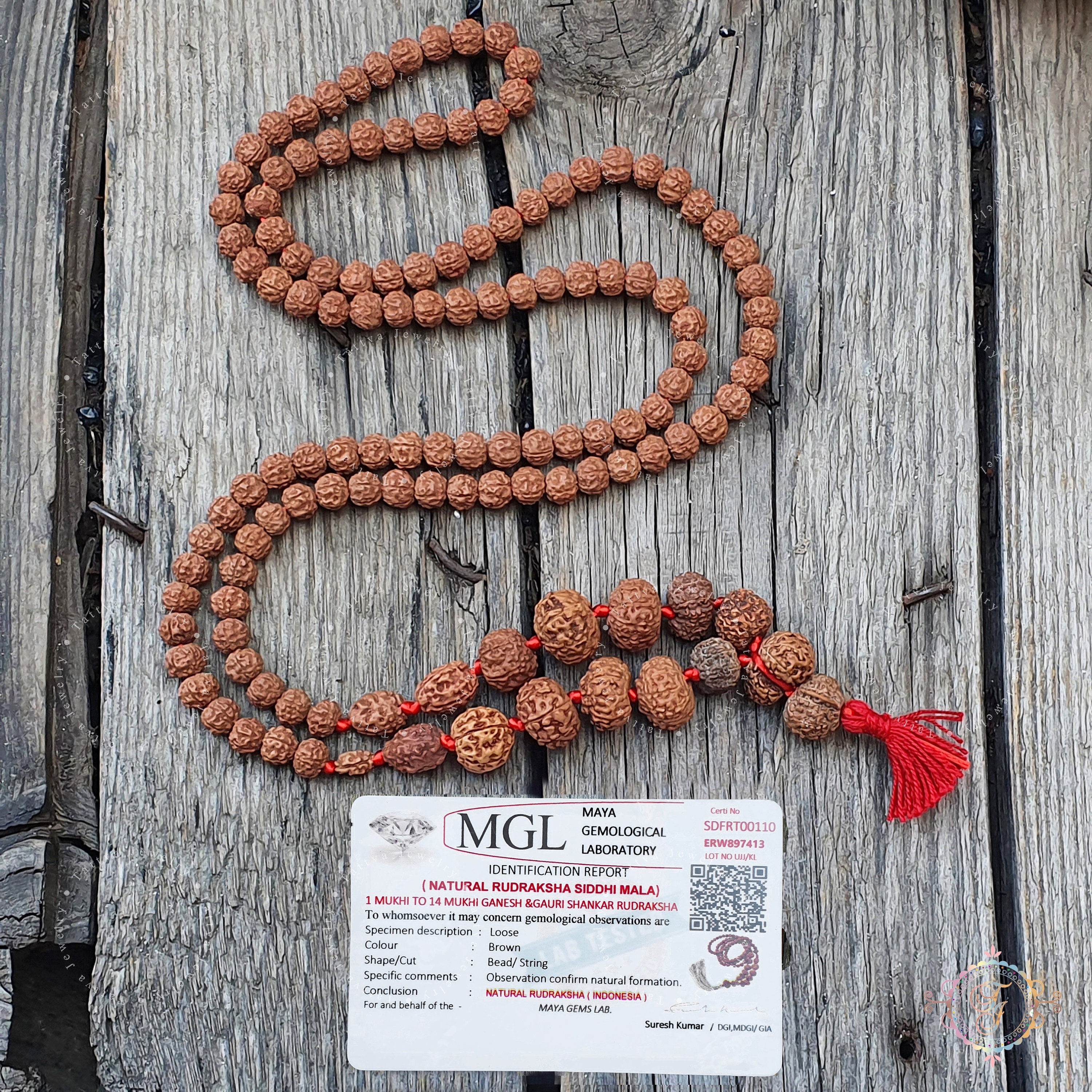シッダ ルドラクシャ マラ: 1-14 Mukhi、Gauri Shankar、Ganesh