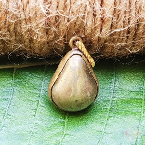 Siddha Parad Gutika Pendant: Rasmani Locket, Religious Gift