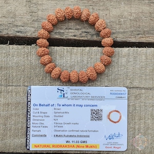 9 Mukhi Rudraksha Bracelet: Natural Durga Beads, Adjustable Yoga Jewelry