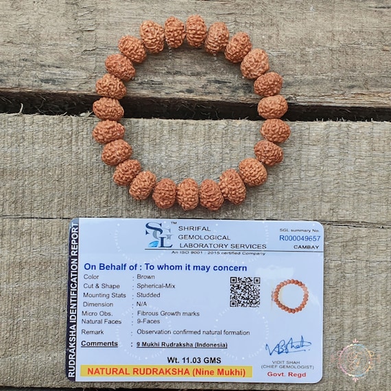 Indonesian Nine Mukhi Bracelet, 9 Mukhi Rudraksha Bracelet - 11MM