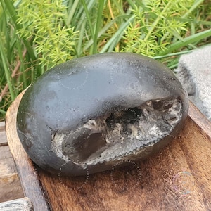 Divya Narsimha Shaligram Stone: Gandaki River, Nepal (496 GM)