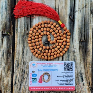 6 Mukhi Rudraksha Mala: Lab Certified 108 Prayer Beads Necklace