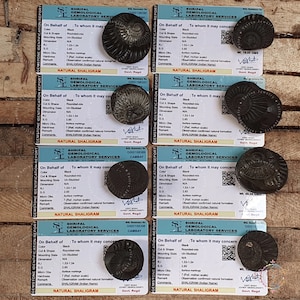 May include: Several black Shaligram stones, rounded-mix in shape, are presented alongside gemological reports. The reports detail colour, cut, dimensions, and hardness, with the text "NATURAL SHALIGRAM". Measurements are in the metric system.