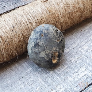 Rare White Laddu Gopal Shaligram Stone: Gandaki River Shila