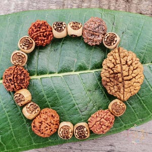 Om Namah Shivaya Rudraksha Bracelet: Mixed Mukhi Beads, Tulsi Engraved, Adjustable Wrist Mala