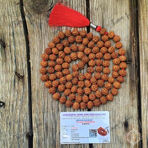 Six Mukhi Rudraksha Mala: Natural Undyed Indonesian Beads