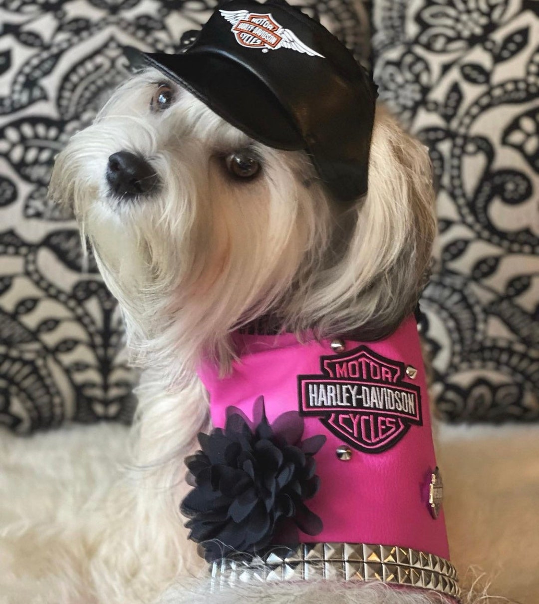 Pink Faux Leather Biker Dog Vest Etsy