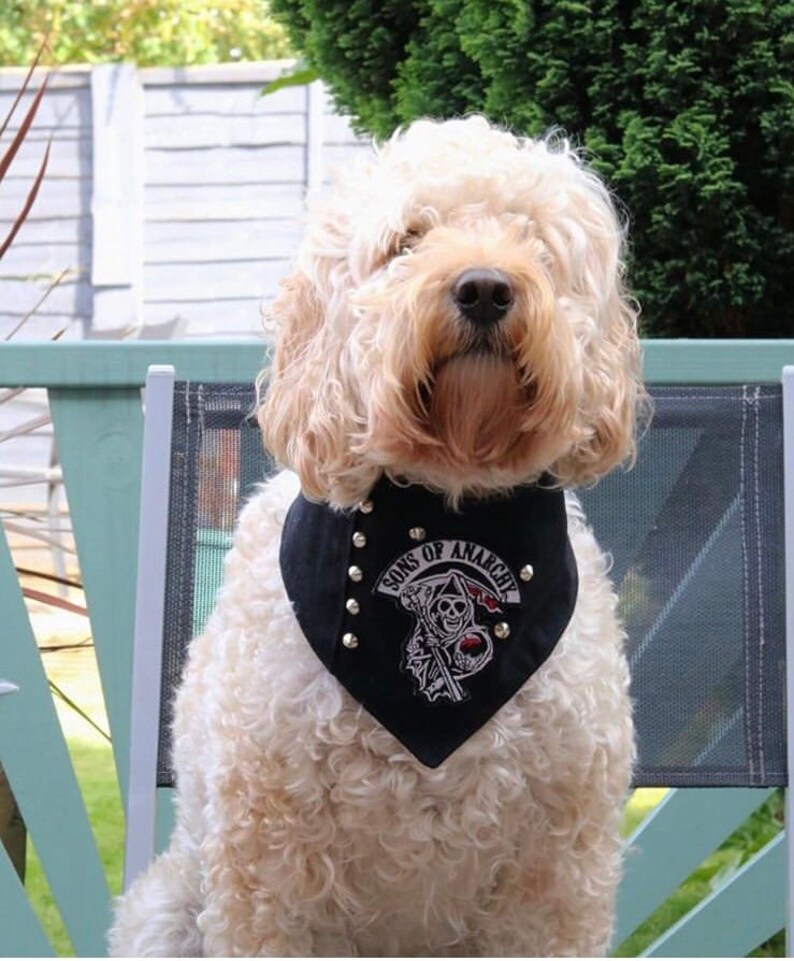 Sons of Anarchy Biker Denim Dog Bandana