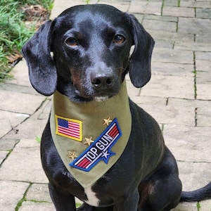 Aviator Dog Bandana Dog Neckwear, Ajustable, Bandana hecha a medida, A medida, Bandana de lujo imagen 1