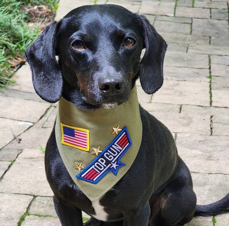 Aviator Dog Bandana Dog Neckwear, Ajustable, Bandana hecha a medida, A medida, Bandana de lujo imagen 1