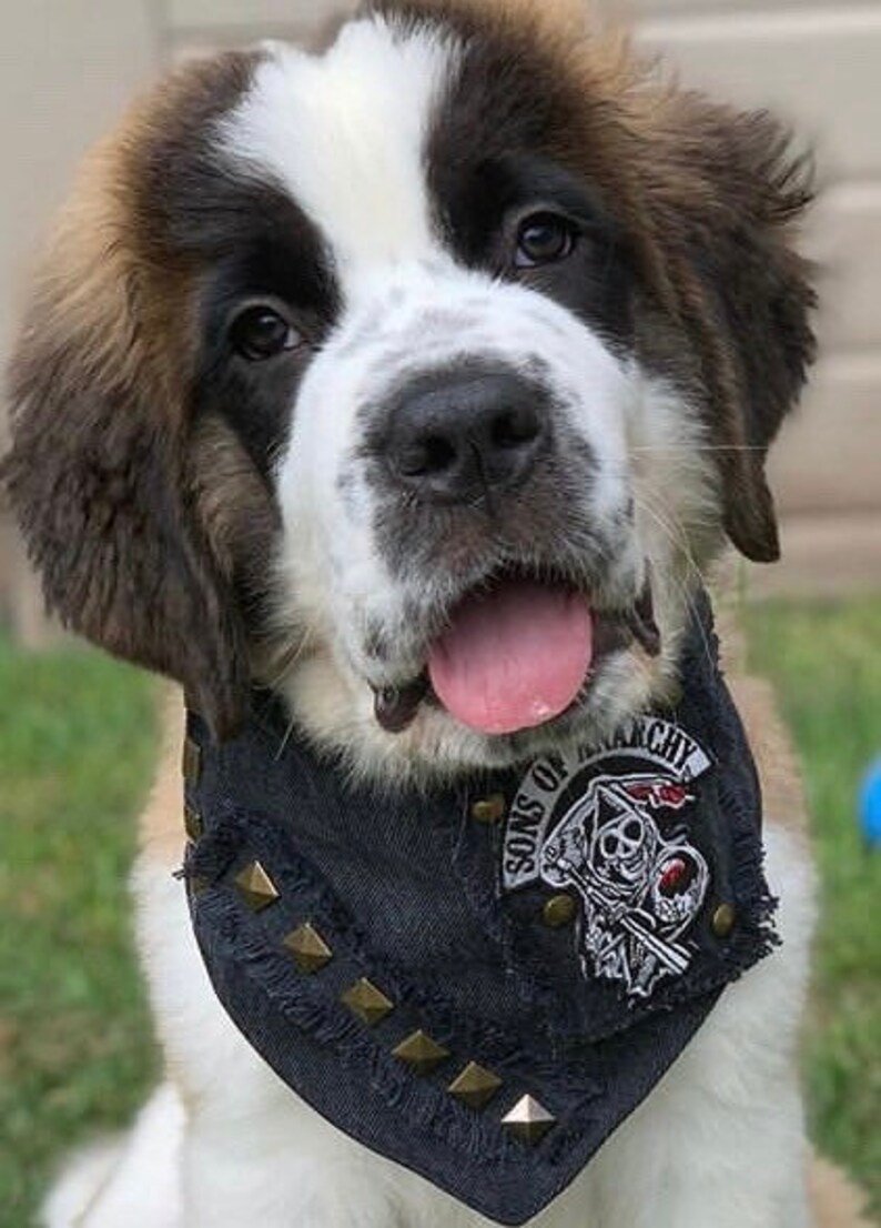 Sons of Anarchy Biker Denim Dog Bandana