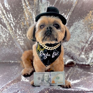 Luxury pet clothing brand – Bark'N Bougie