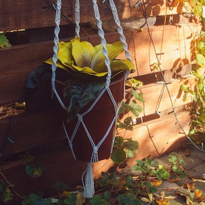May include: A yellow flower plant in a brown pot hanging from a white macrame plant hanger against a wooden background.