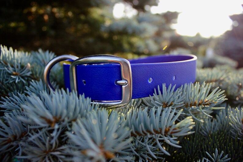 25mm Collier 1 imperm\u00e9able en Biothane pour chien 100/% vegan Vegan Biothane Dog Collar waterproof stink proof sans odeur