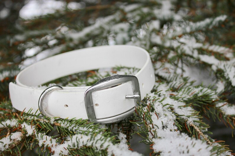 25mm Collier 1 imperm\u00e9able en Biothane pour chien 100/% vegan Vegan Biothane Dog Collar waterproof stink proof sans odeur