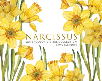 daffodil clipart etsy daffodil clipart etsy