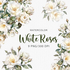 Aquarel Witte Rozen Clipart Aquarel Bloemen clip art Witte roos bloemen boeketten Botanische set Huwelijksuitnodiging Digitale download PNG