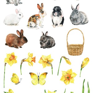 Akvarell kaniner clipart påskhare png Söt clipart Akvarell blommig clipart Påskliljor Fjärilar Korg digital png bild 2