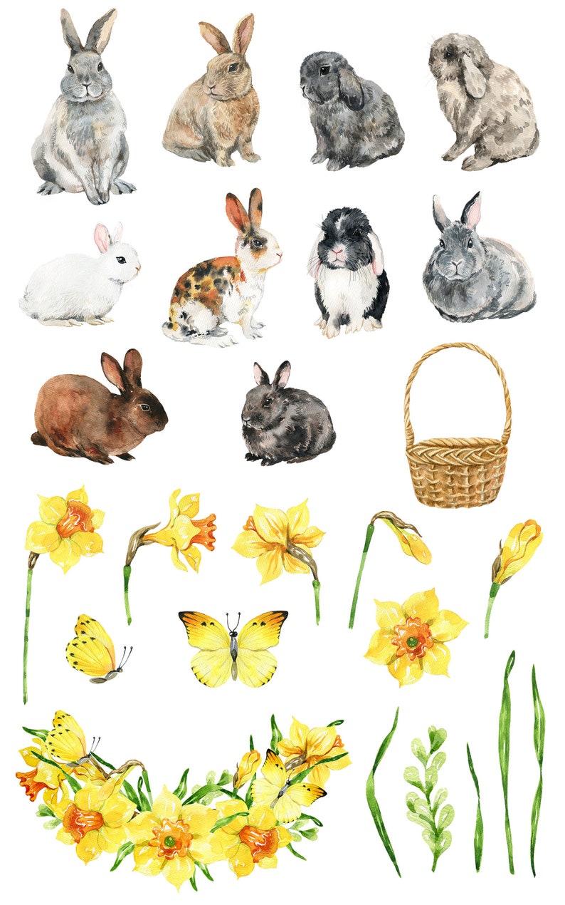 Akvarell kaniner clipart påskhare png Söt clipart Akvarell blommig clipart Påskliljor Fjärilar Korg digital png bild 2