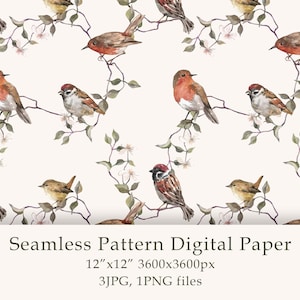 Uccelli dell'acquerello Seamless Pattern Carta digitale Uccelli compleanno png Simpatici animali Robin Sparrow Farmhouse Decor Digital PNG JPG