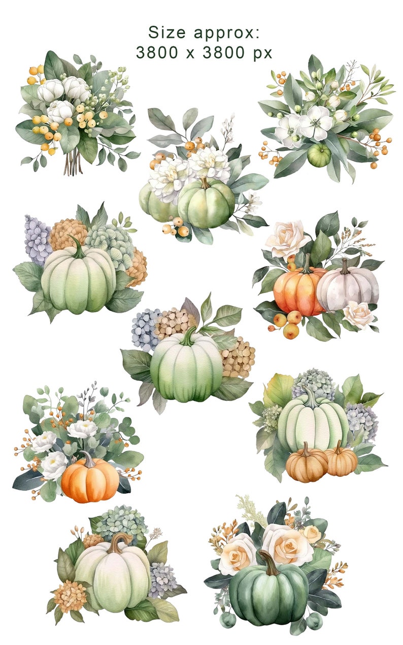 Watercolor Autumn Design Clipart Fall Pumpkins Clip Art Fall Rustic ...