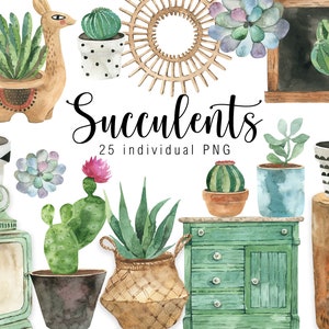 Aquarela Suculenta Clipart Casa planta aquarela Cactos clipart digital planta deserto vegetação png planejador clipart Decoração de casa de verão png