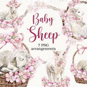 Aquarell Baby Schaf Ostern Clipart png Frühling Ostern Clip art Aquarell Pink Blumen Clip art Süßes Schaf Korb digital png