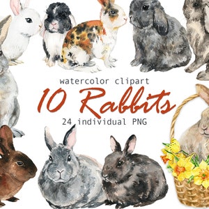 Aquarelle Lapins clipart Lapin de Pâques png Mignon clipart Aquarelle floral clipart Jonquilles Papillons Panier numérique png