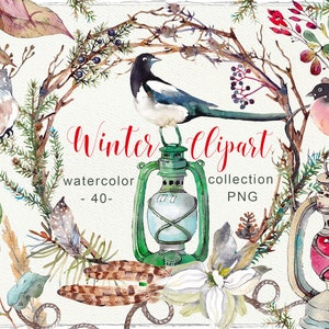 Clipart Noël aquarelle haute qualité clipart hiver aquarelle oiseaux Bouvreuil joyeux Noël forêt conifères Floral numérique png