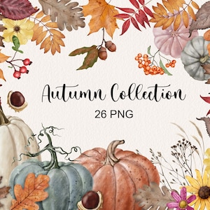 Clipart collection automne dessinés à la main, clipart feuilles d'automne, décoration cosy, citrouilles, clipart ferme rétro rustique, décoration d'intérieur PNG