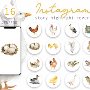 水彩農場の鳥 Instagram ハイライト アイコン、水彩イラスト、Instagram ストーリー、ハイライト カバー、農家ブロガー、PNG、JPG