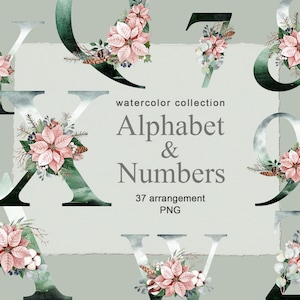 Acuarela Floral Alfabeto Navidad Decoración Invierno Flor Letras Número Hojas Boho Clip art Greenery clipart Invitación de boda digital png