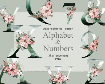 May include: Watercolour alphabet and numbers with floral embellishments. The letters and numbers are in a dark green and white colour scheme with pink poinsettia flowers, greenery, and berries.