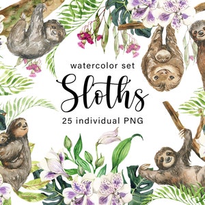 Aquarell Clipart Tier Faultiere Tropische Clipart Baby Dschungel Tier Tropical Floral Baby Shower Geburtstag Party Scrapbooking Set PNG