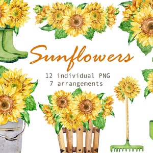 Aquarela Girassóis Clipart Aquarela jardim clipart Flores clipart Outono Verão Casamento Dia das Mães digital png