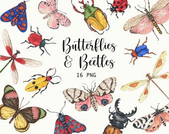 Clipart di farfalle e coleotteri ad acquerello, pacchetto PNG di insetti in stile cottagecore, grafica vintage di insetti per junk journal, scrapbooking, uso commerciale