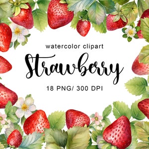 Aquarelle Fraise clipart Fraise clip art aquarelle png fruit clipart fruit png aquarelle clipart aquarelle png téléchargement numérique