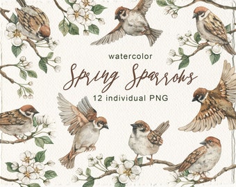 Watercolor Spring Sparrows Blossoming apple tree Illustration Card Making Craft Book Cover Artwork Digital Download Digital Paper PNG