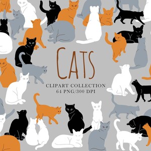 Digital Cats Collection animal Cat Clipart Pet cats clipart Cute clipart Pet hand drawing Cats portrait Birthday png