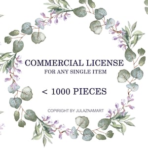 Commerciële licentie voor single item <1000 stuks