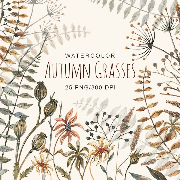 Watercolor Autumn Grasses Clipart Fall Flowers Clip Art Fall Rustic Fall Decor Clipart Cozy Autumn Woodland Home Decor digital PNG