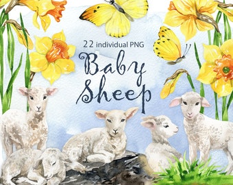 Watercolor clipart animal Baby Sheep Animals Clipart Floral Clipart Cutte Clipart Baby Shower Summer, lamb, daffodil, butterflies png