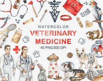 Watercolor Veterinary Medicine Clipart Medical Clip Art Doctor