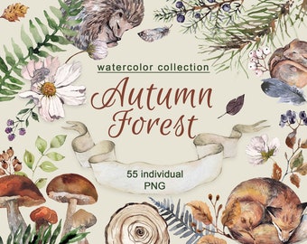 Watercolor Autumn Forest Clipart | Fall Leaves, Animals (PNG Digital Download)